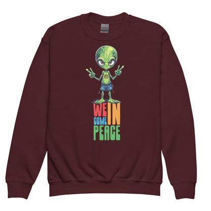 Youth crewneck sweatshirt