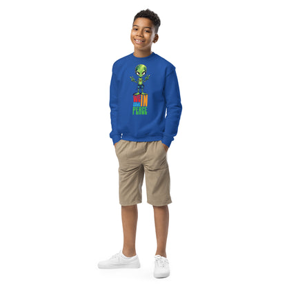 Youth crewneck sweatshirt